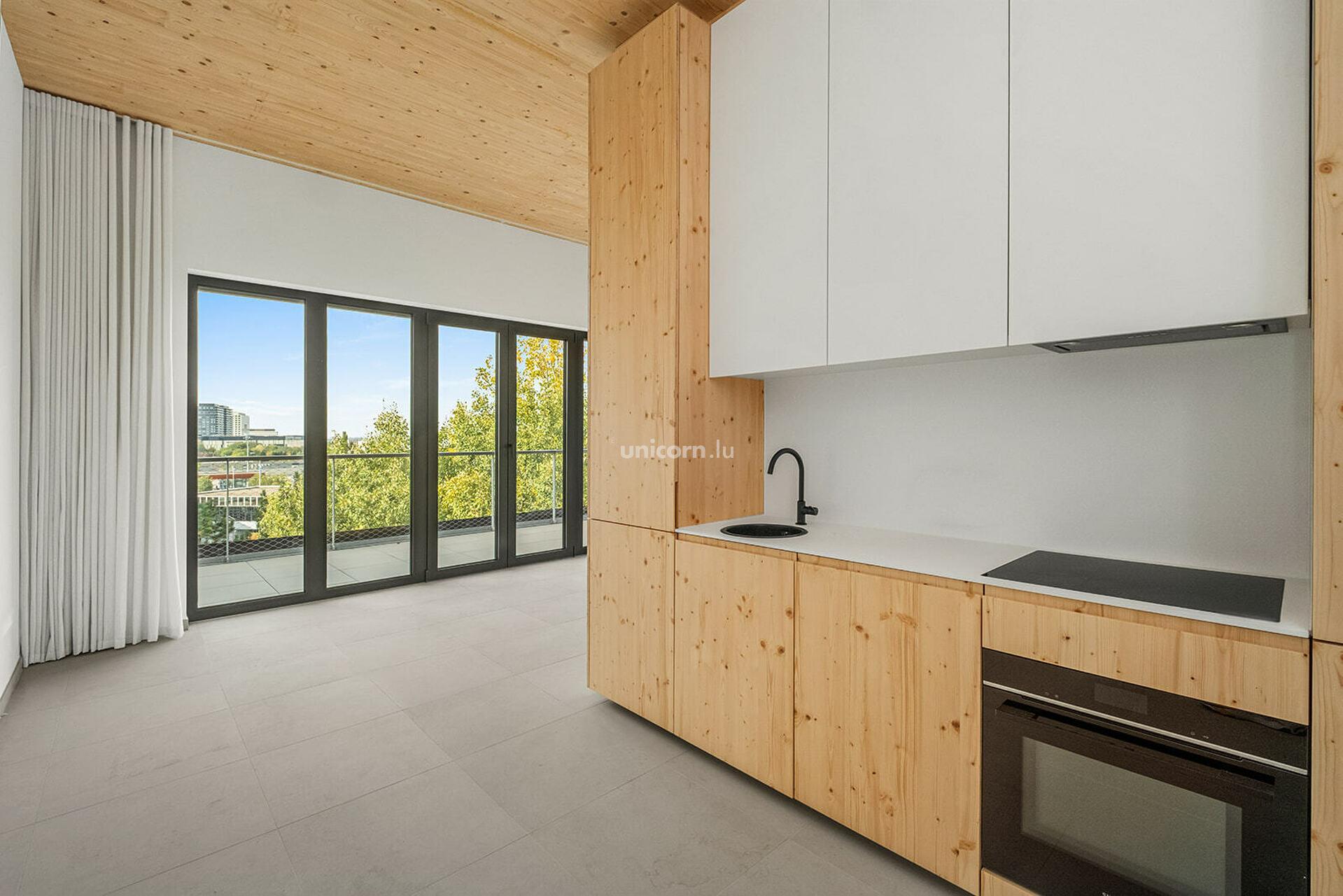 Appartement en vente à Luxembourg-Howald  - 51.91m²